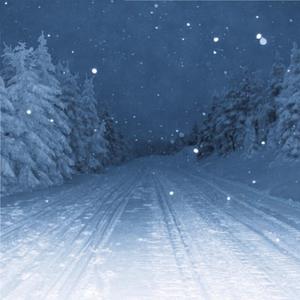 国产欧美日韩精品丝袜高跟鞋
