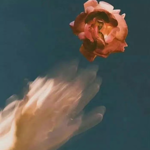 国产欧美日韩精品丝袜高跟鞋
