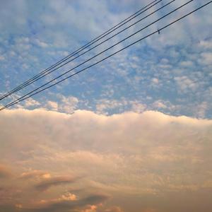 国产欧美日韩精品丝袜高跟鞋
