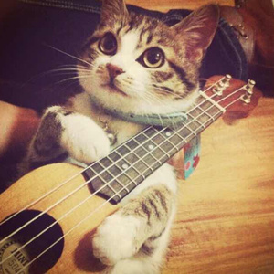 国产欧美日韩精品丝袜高跟鞋
